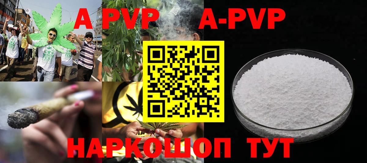 A PVP СК КРИС Тула