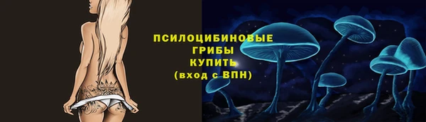 дурь Алзамай