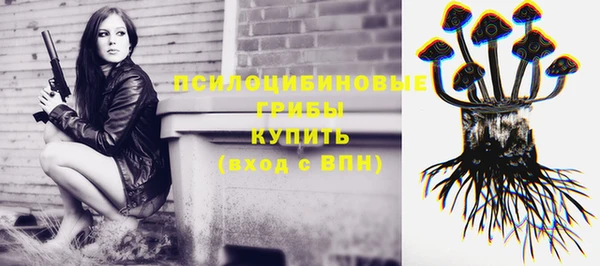 spice Алексеевка