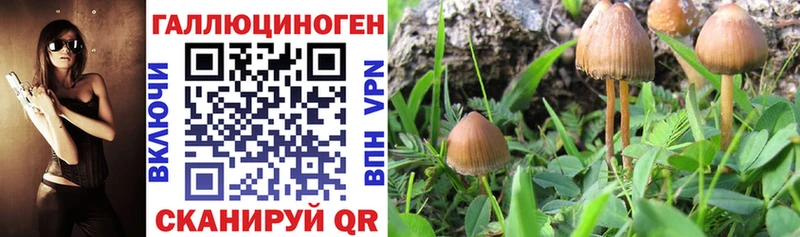 Галлюциногенные грибы мухоморы  купить наркотики сайты  Тула 